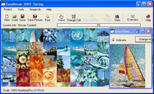 screen