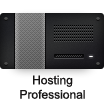 Hosting Professional
