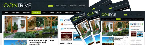 This is New WordPress Themes 4